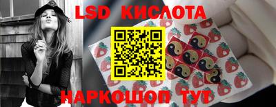 амф Камышлов