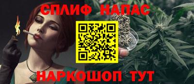 амф Камышлов
