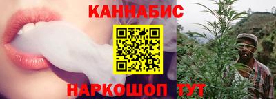 амф Камышлов