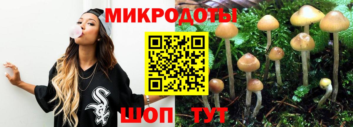 Псилоцибиновые грибы мицелий  Вход с VPN  Корсаков 